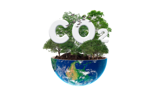 carbon-credit-concept (1) whitelabstudio